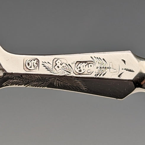 Late 19th Century British Antique White Mother of Pearl Handle Fruit Cutlery Set of 6 Pairs with Tray